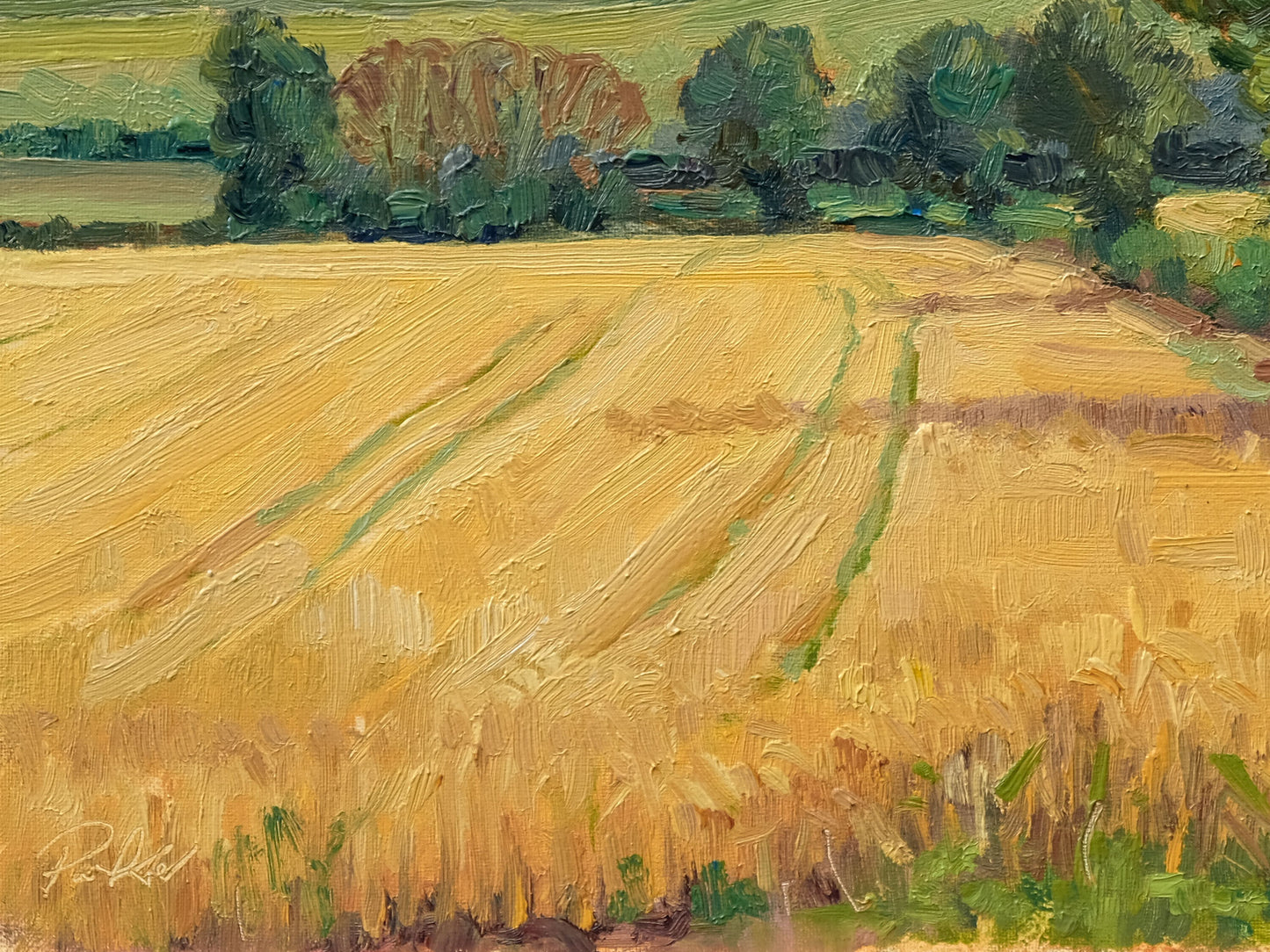 Ripening Barley, Birdsall
