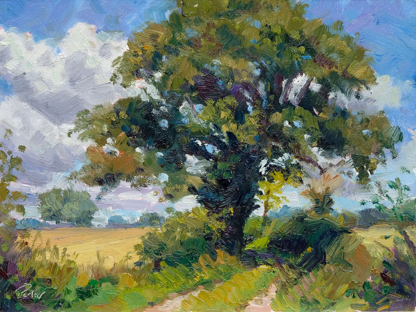 Shade of the Oak