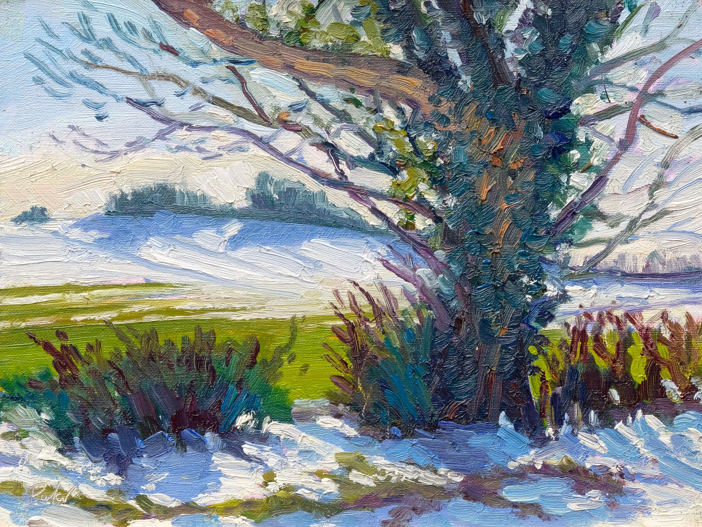 Snow Shadows, Newburgh