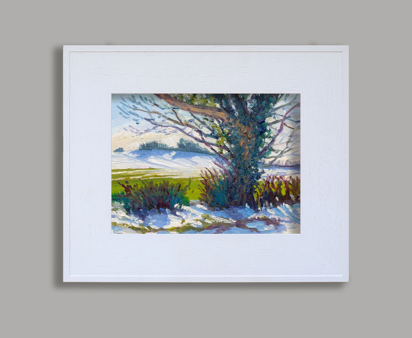 Snow Shadows, Newburgh