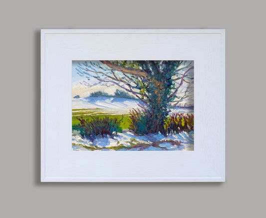 Snow Shadows, Newburgh