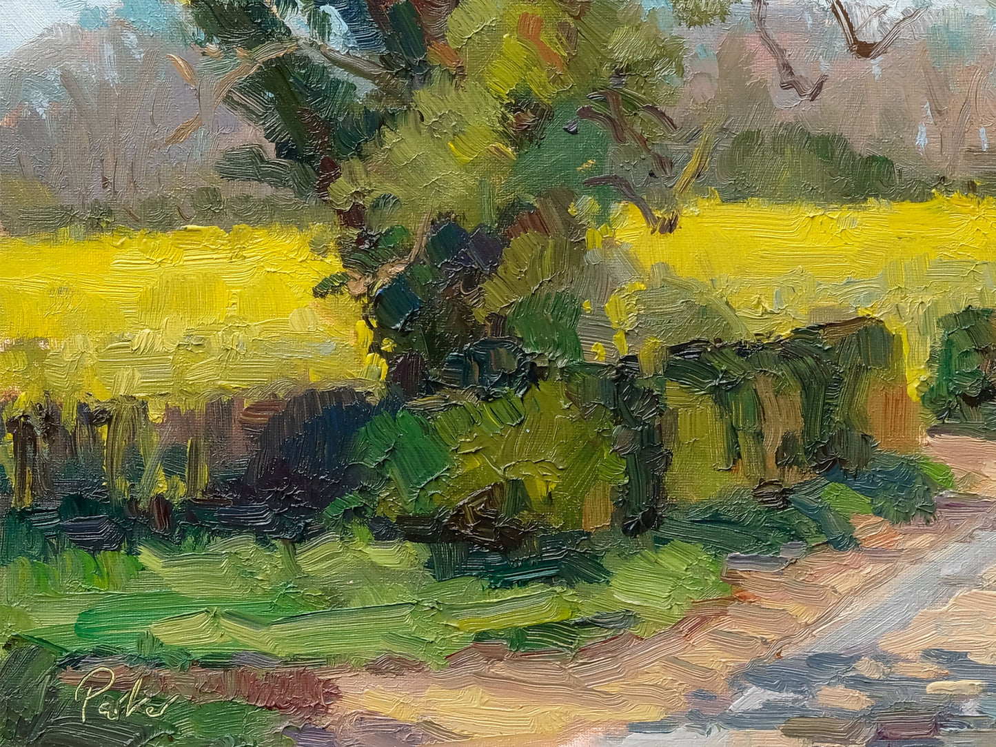Spring Lane, Newburgh