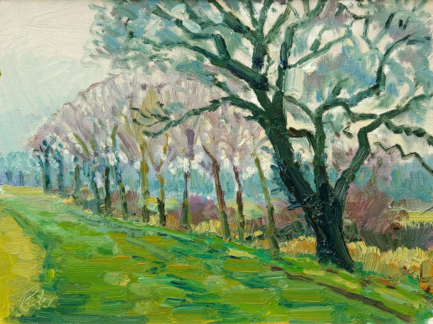 Spring Mist, Brookside