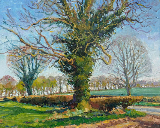 Early Spring Oak, Newburgh