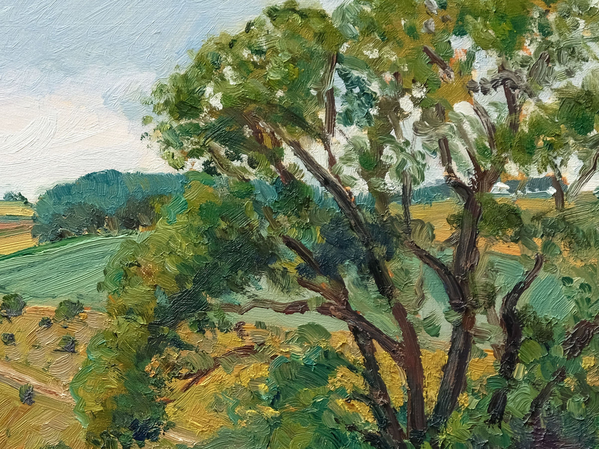 Thixendale Wold, Summer