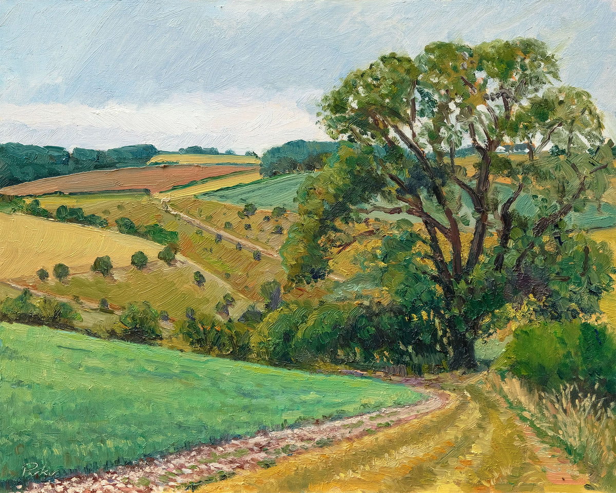 Thixendale Wold, Summer