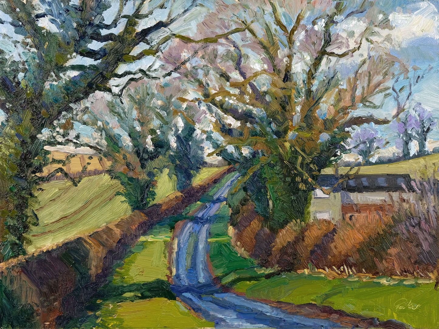 Thornton Hill, January
