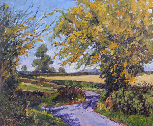  'Leaves of Gold' by Jeff Parker