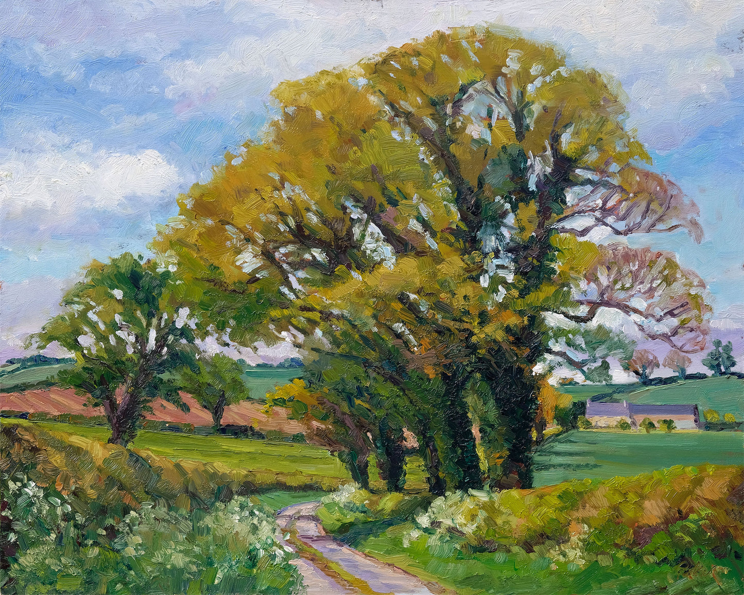 Spring Down Thornton Lane