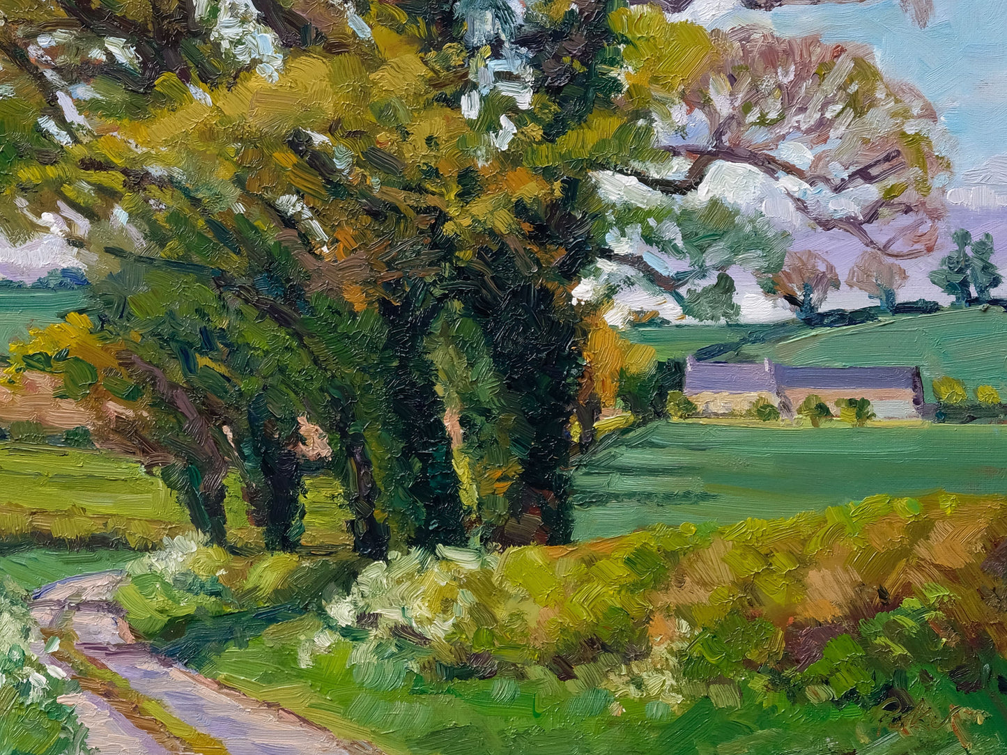 Spring Down Thornton Lane