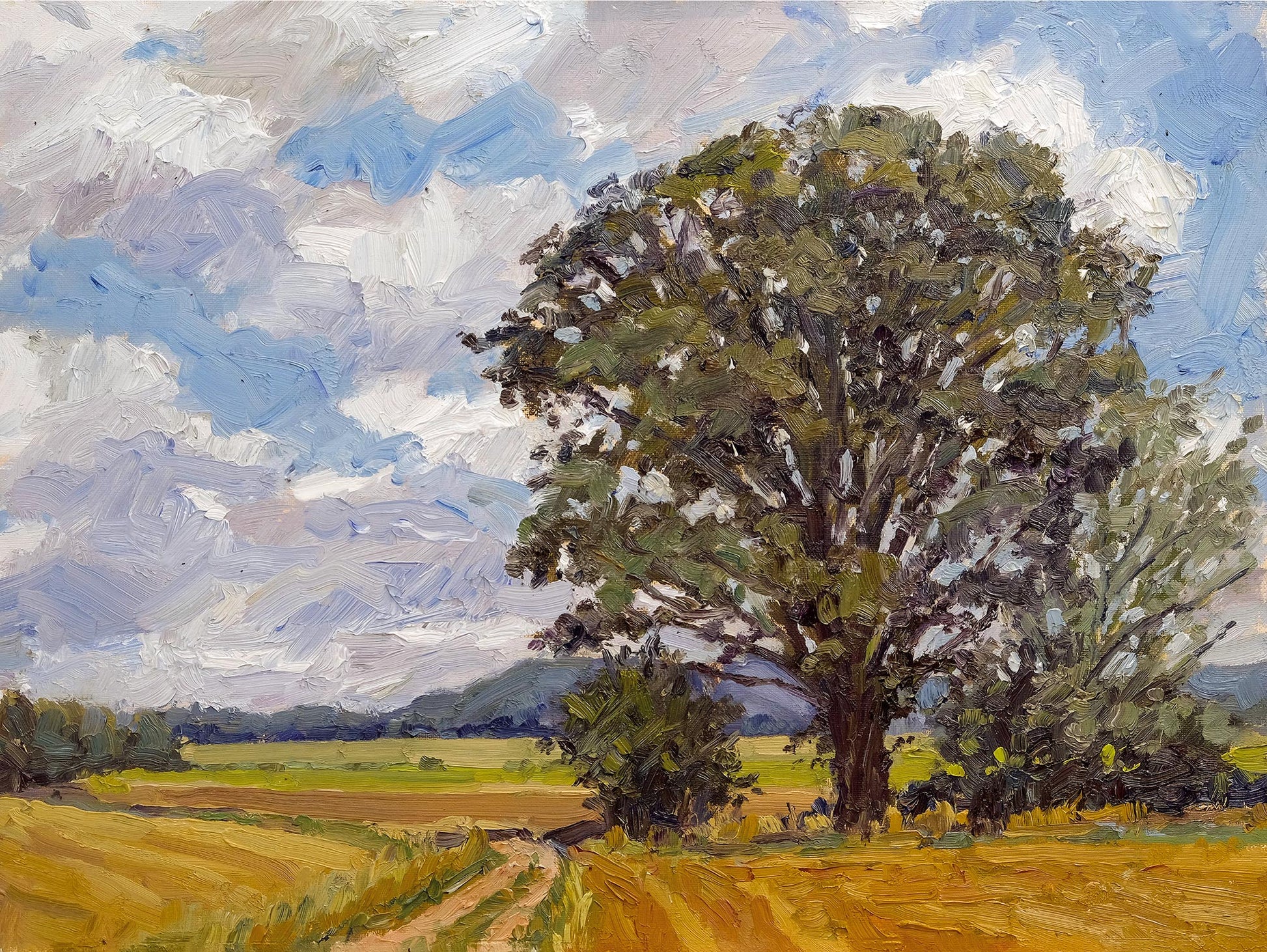 Towards Bulmer, North Yorkshire, original oil painting by Jeff Parker