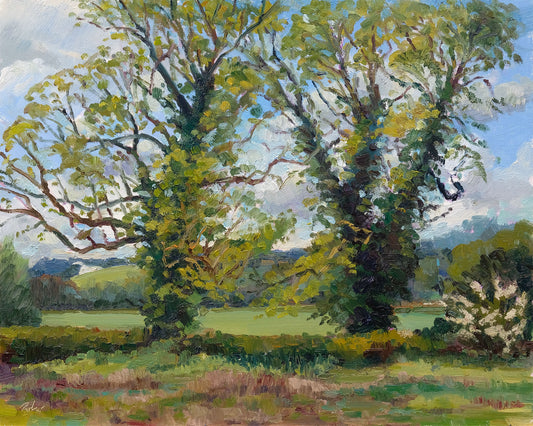 Two Trees, Kilburn White Horse - Spring