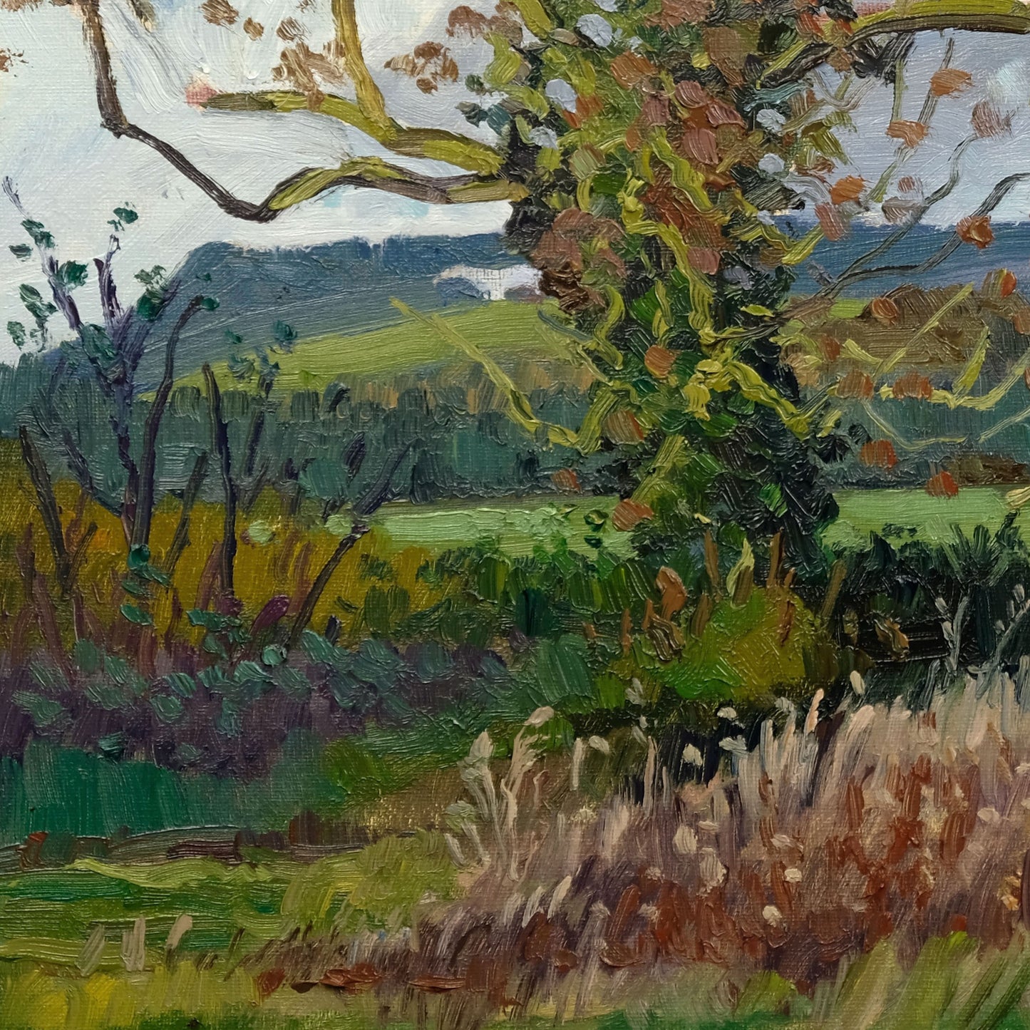 Two Trees, and Kilburn White Horse