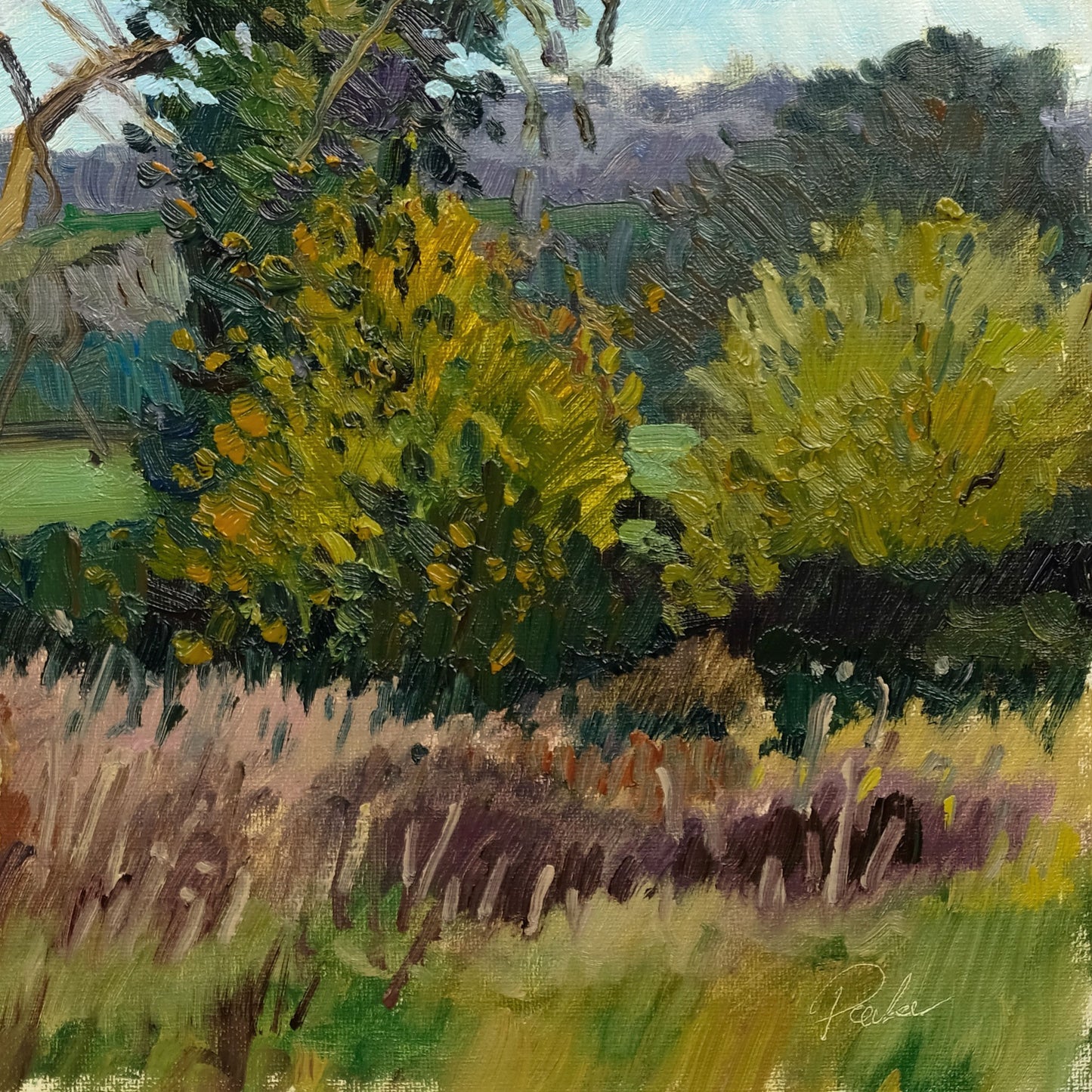 Two Trees, and Kilburn White Horse