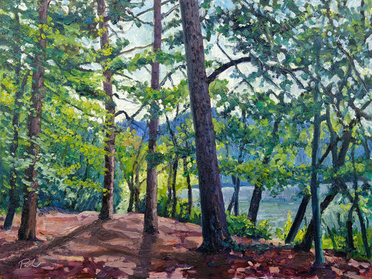 Water's Edge, Yearsley Woods