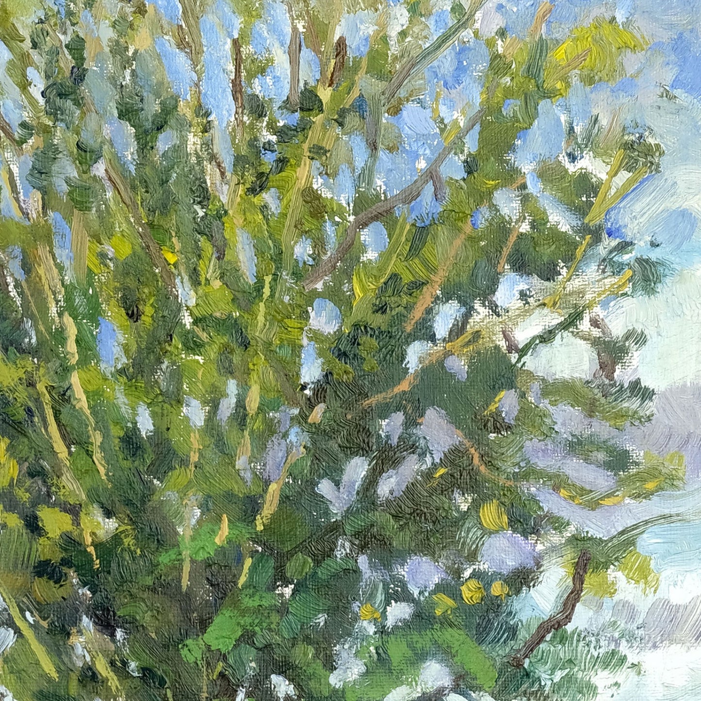 White Horse from Carlton Husthwaite