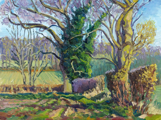 Terrington Trees, February