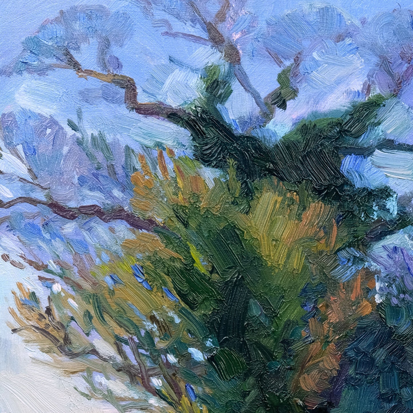 Winter Light, Newburgh