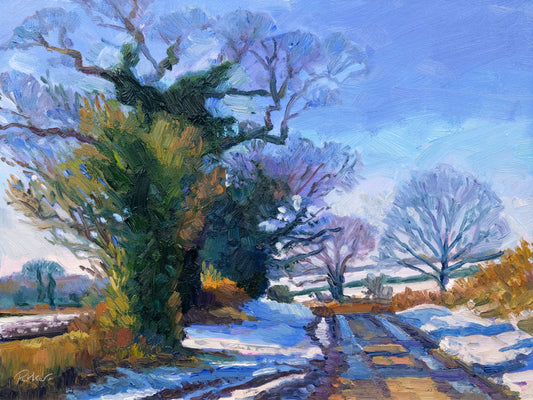 Winter Light, Newburgh