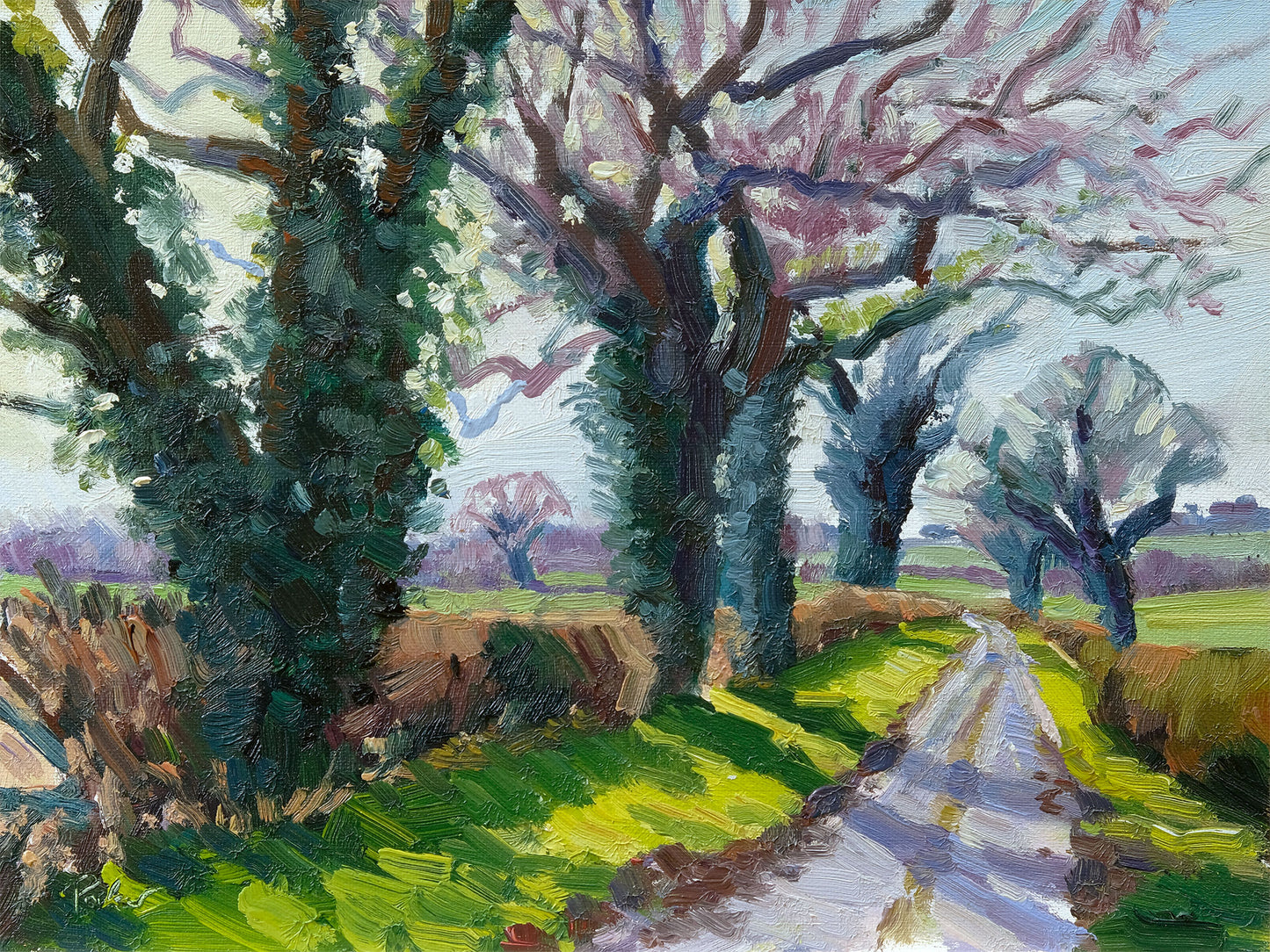 Winter Trees, Morning Light