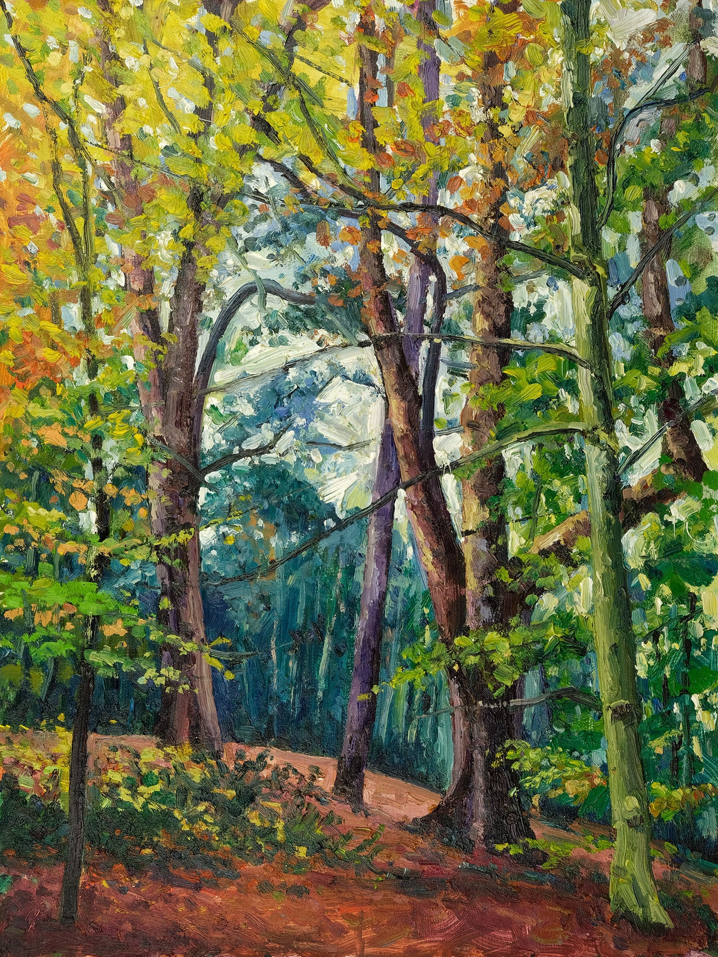 Autumn, Yearsley Woods