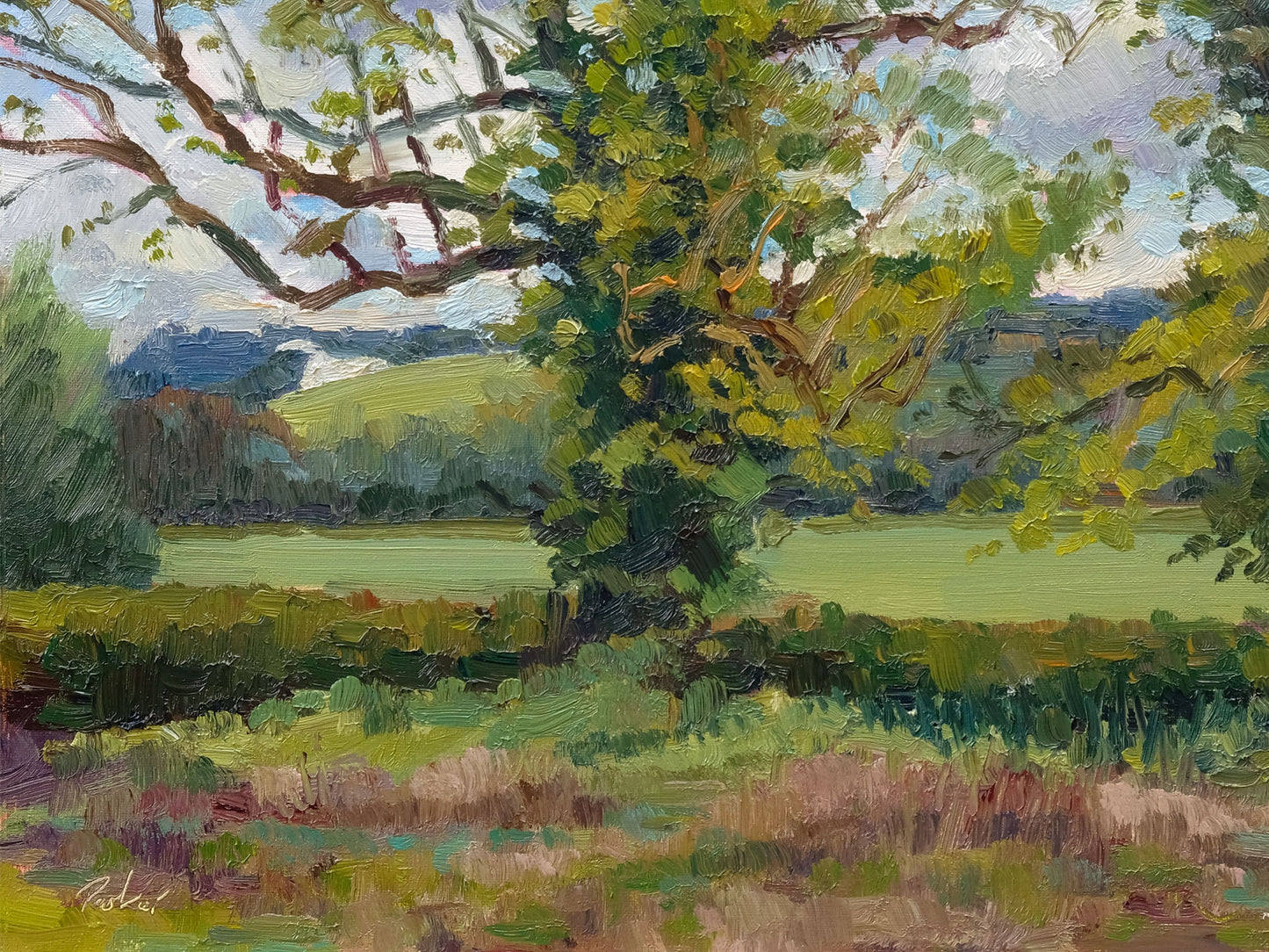 Two Trees, Kilburn White Horse - Spring