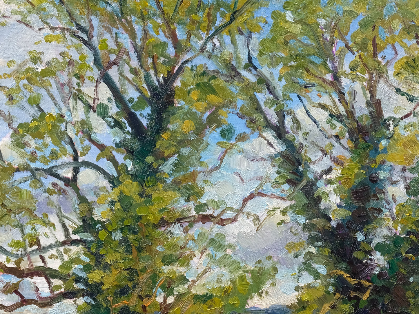 Two Trees, Kilburn White Horse - Spring