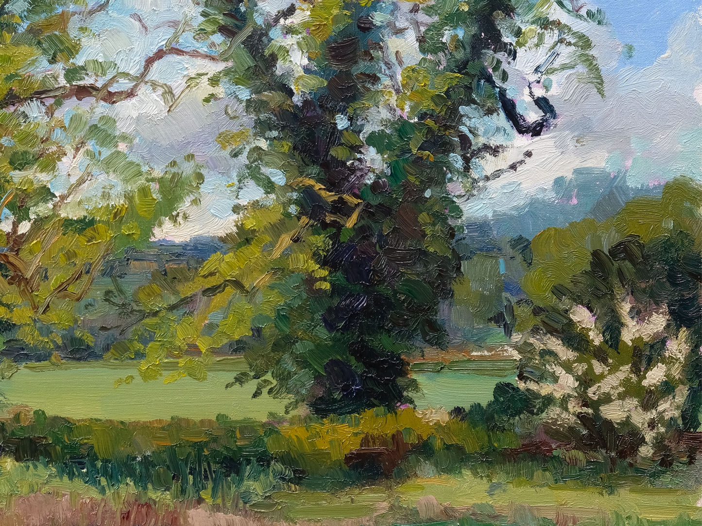 Two Trees, Kilburn White Horse - Spring
