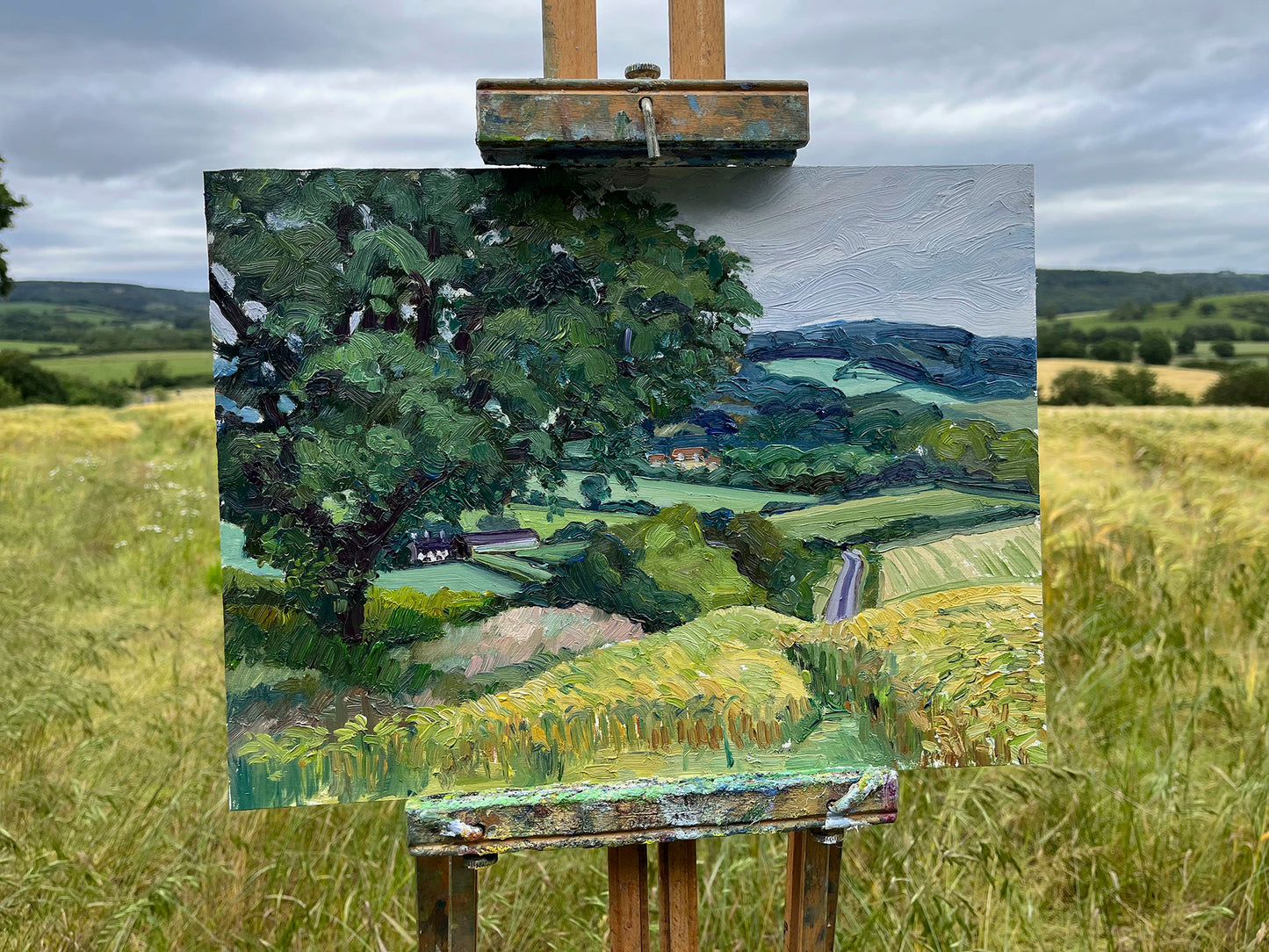 Barley Fields at Coxwold