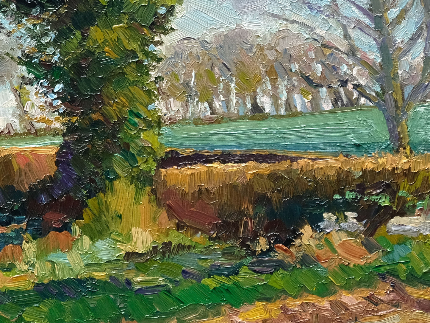 Early Spring Oak, Newburgh