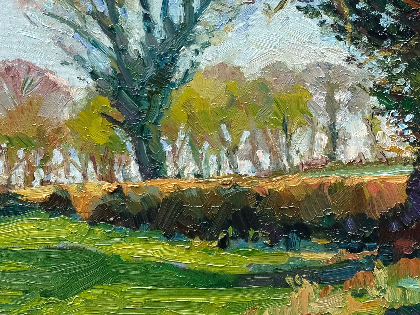 Early Spring Oak, Newburgh