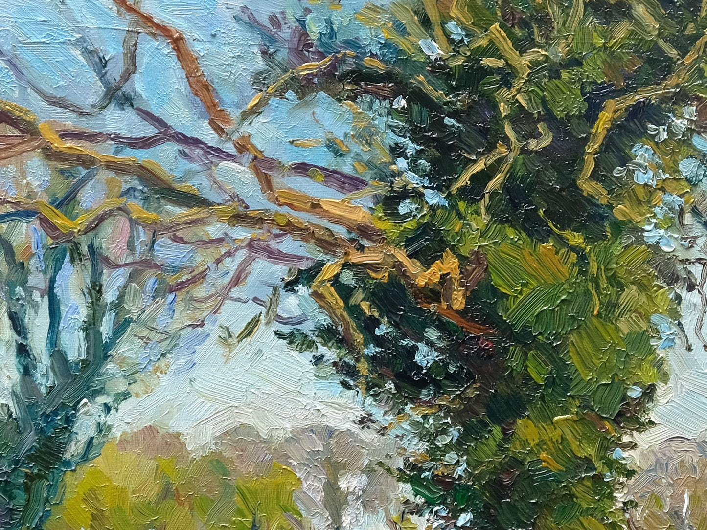Early Spring Oak, Newburgh