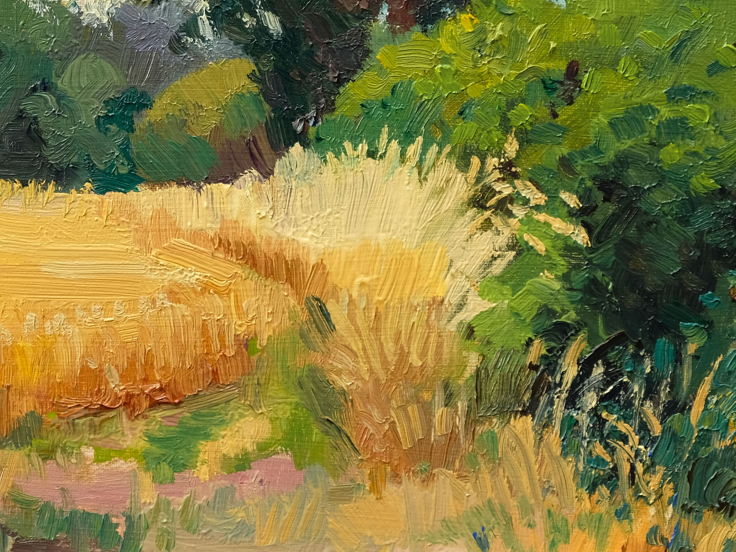 Waiting for the Harvest