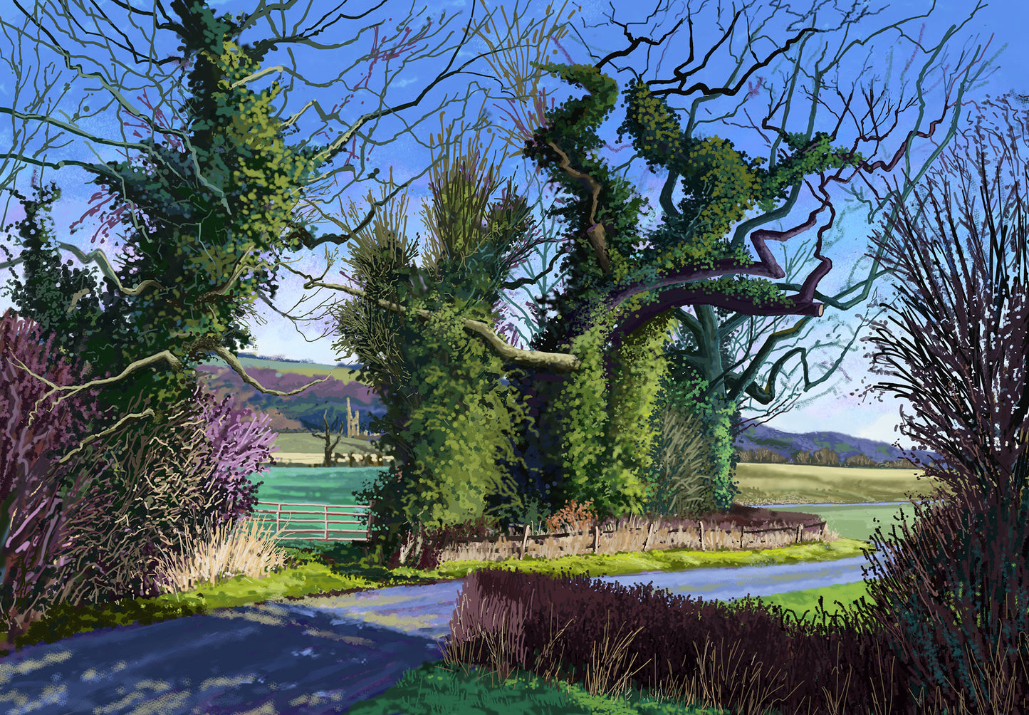 Winter Trees and Byland Abbey